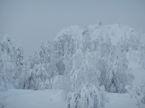 getImage (13)
